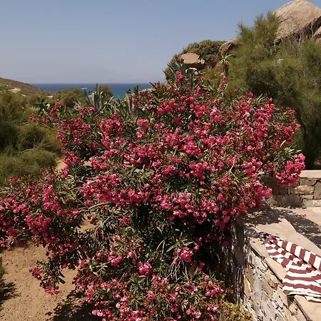 Sun Rock * Stelida (Naxos)
